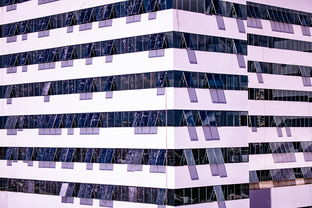 米兰体育官方网页版-体育新闻中心推进体育智库体系建设，体育专题报道